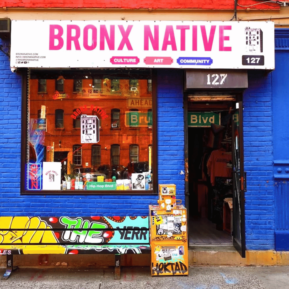 Bronx Culture A Fresh Guide to Neighborhood Art and Rhythm