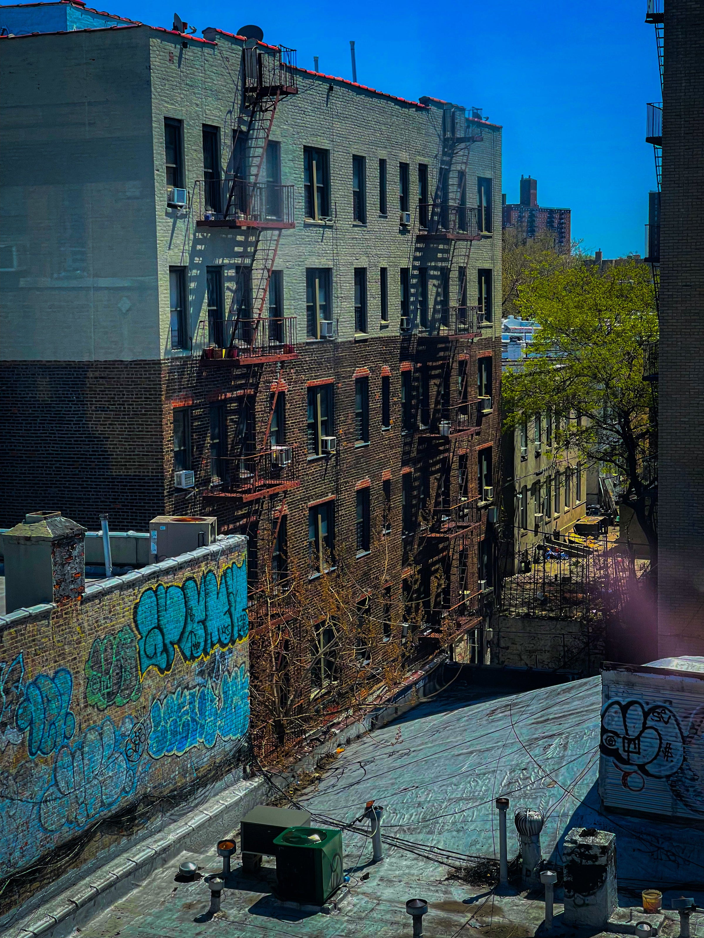 Bronx Neighborhoods Bronx Native Shop
