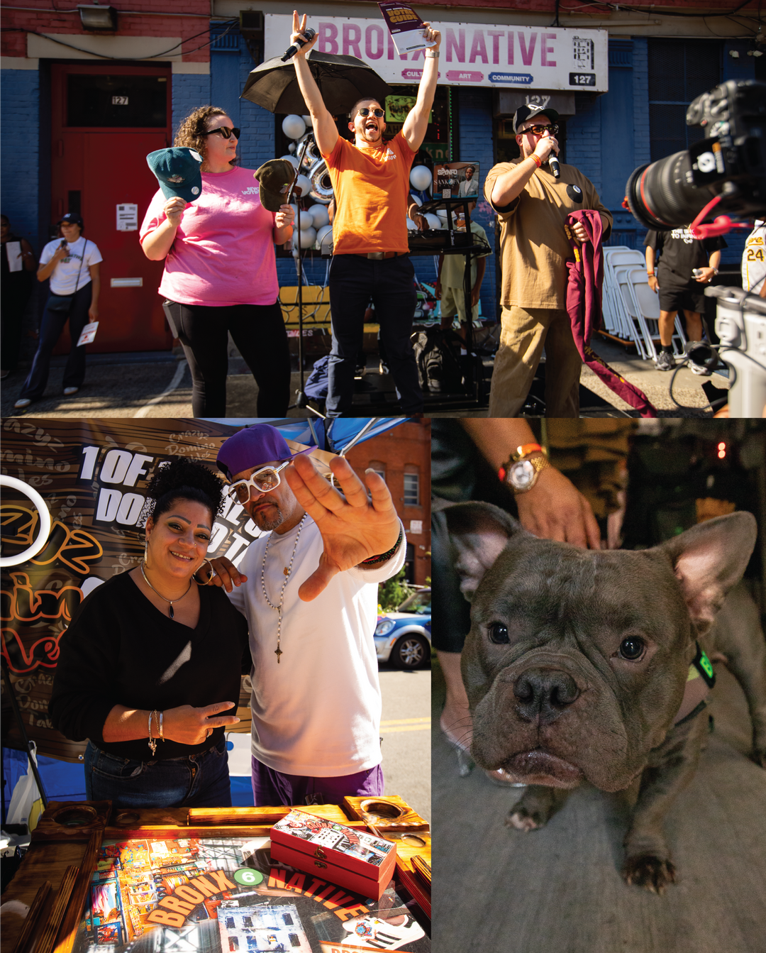 Collage of people and a dog in various settings