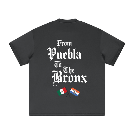 Puebla Bronx Heavyweight Earth Tone T-Shirt