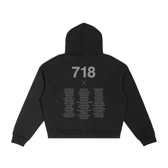 BX Crest 718 Contrast Plaid Boxy Zip Hoodie