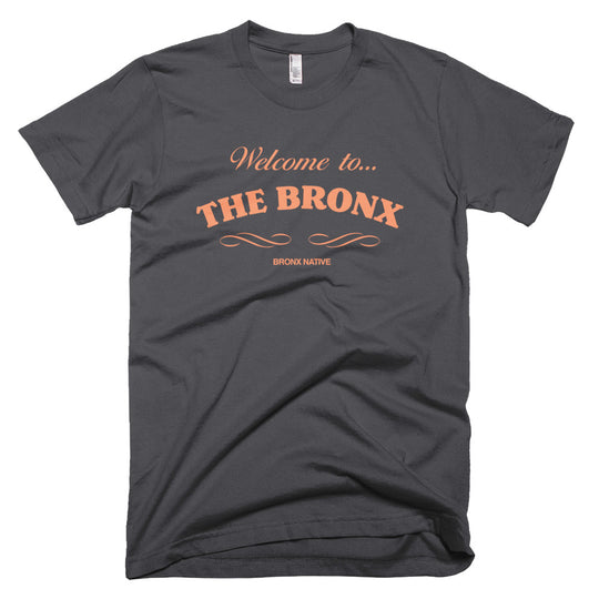 Welcome To The Bronx