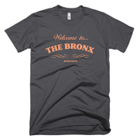 Welcome To The Bronx