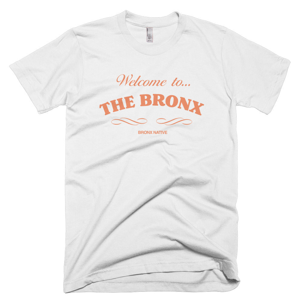 Welcome To The Bronx