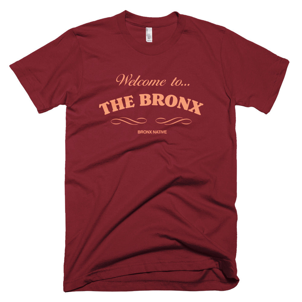 Welcome To The Bronx