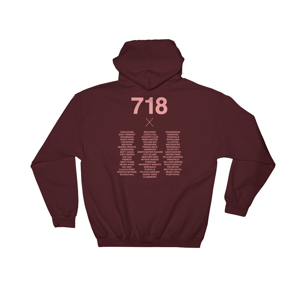 Bronx Native Hoodie