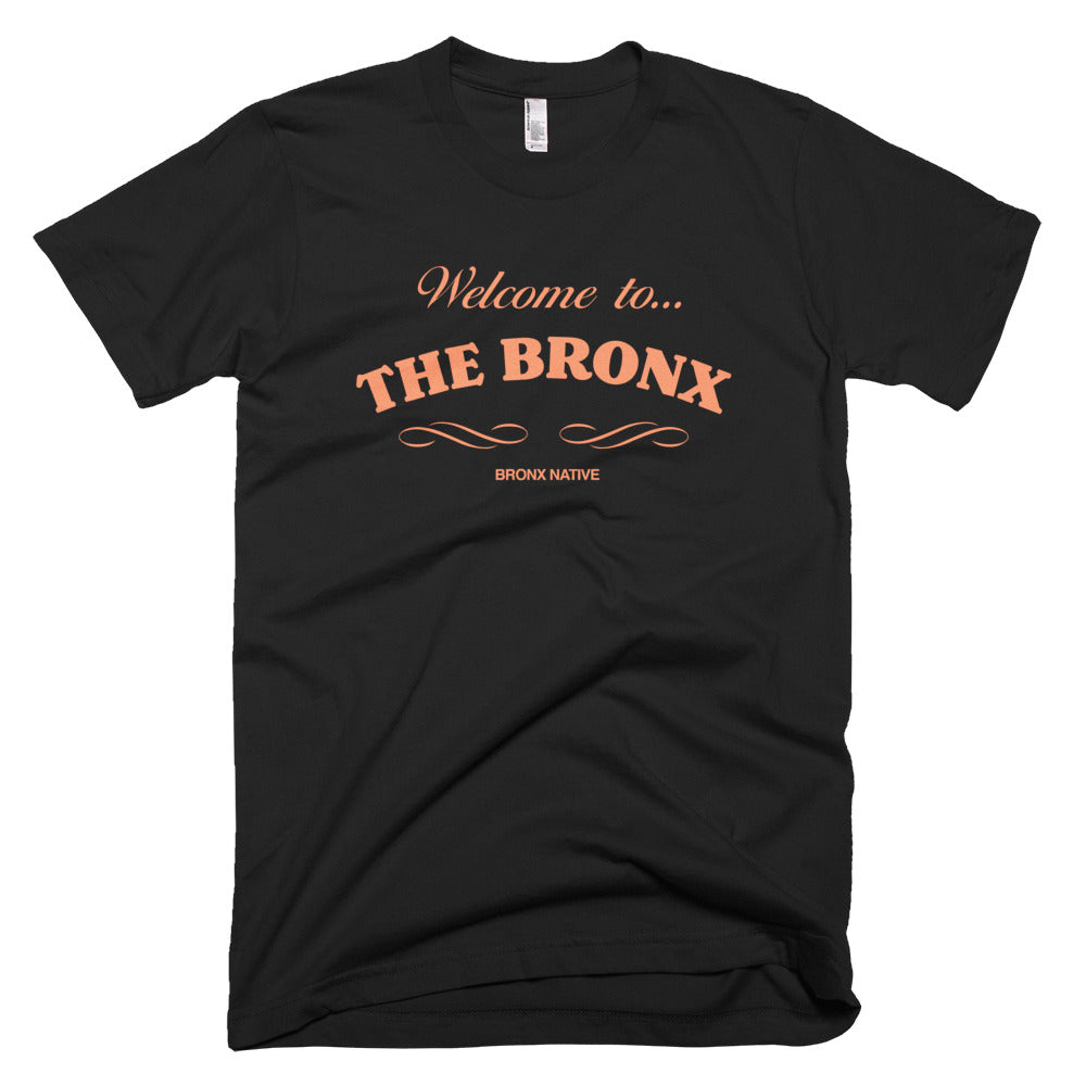 Welcome To The Bronx