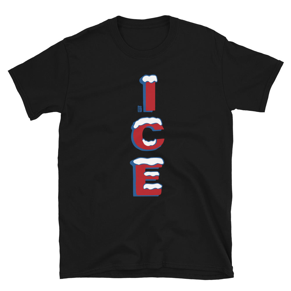ICE T-shirt