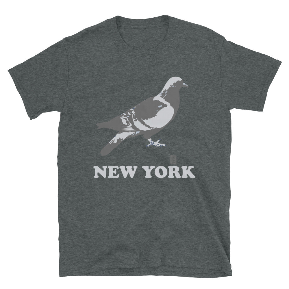 New York Pigeon