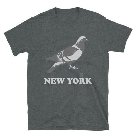 New York Pigeon