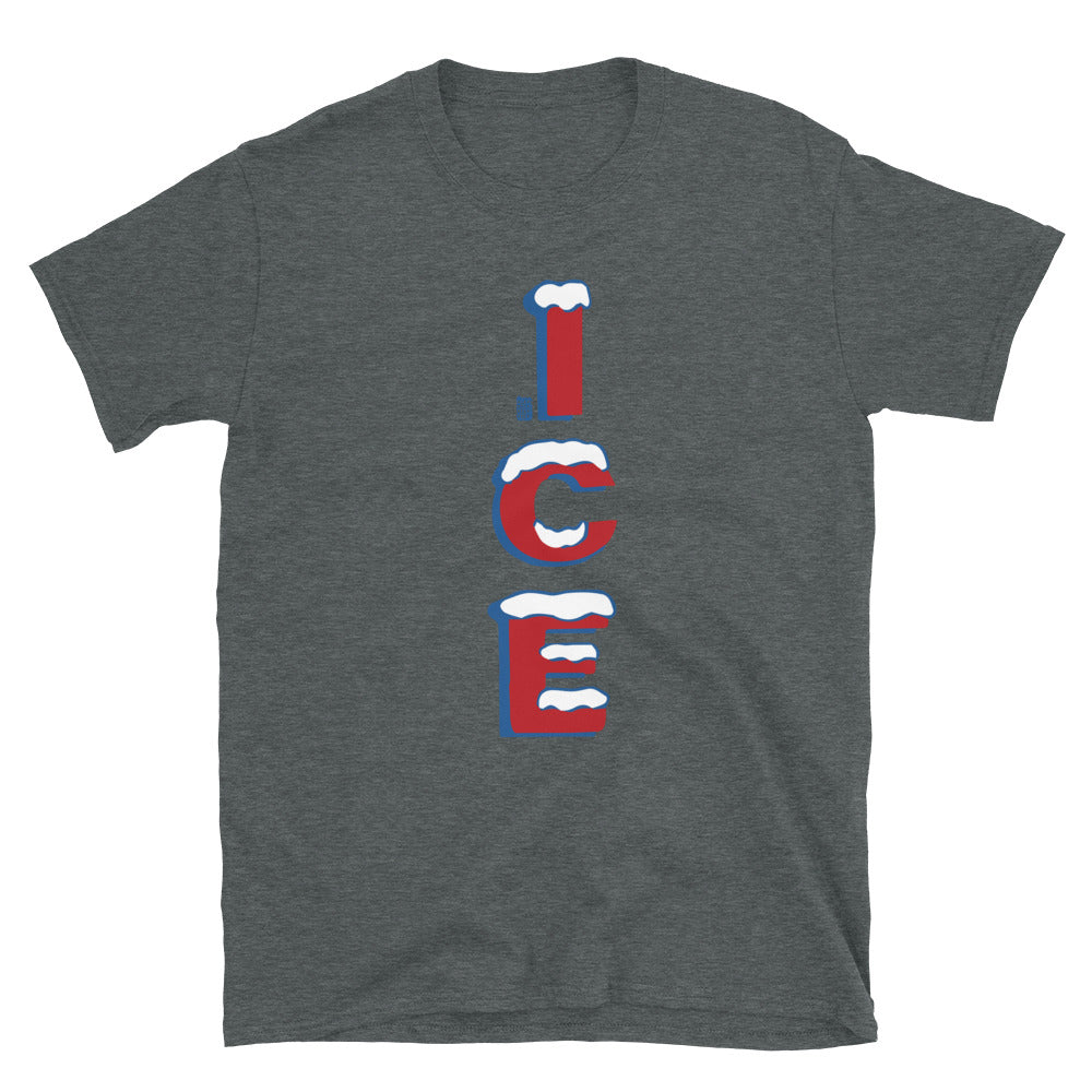 ICE T-shirt