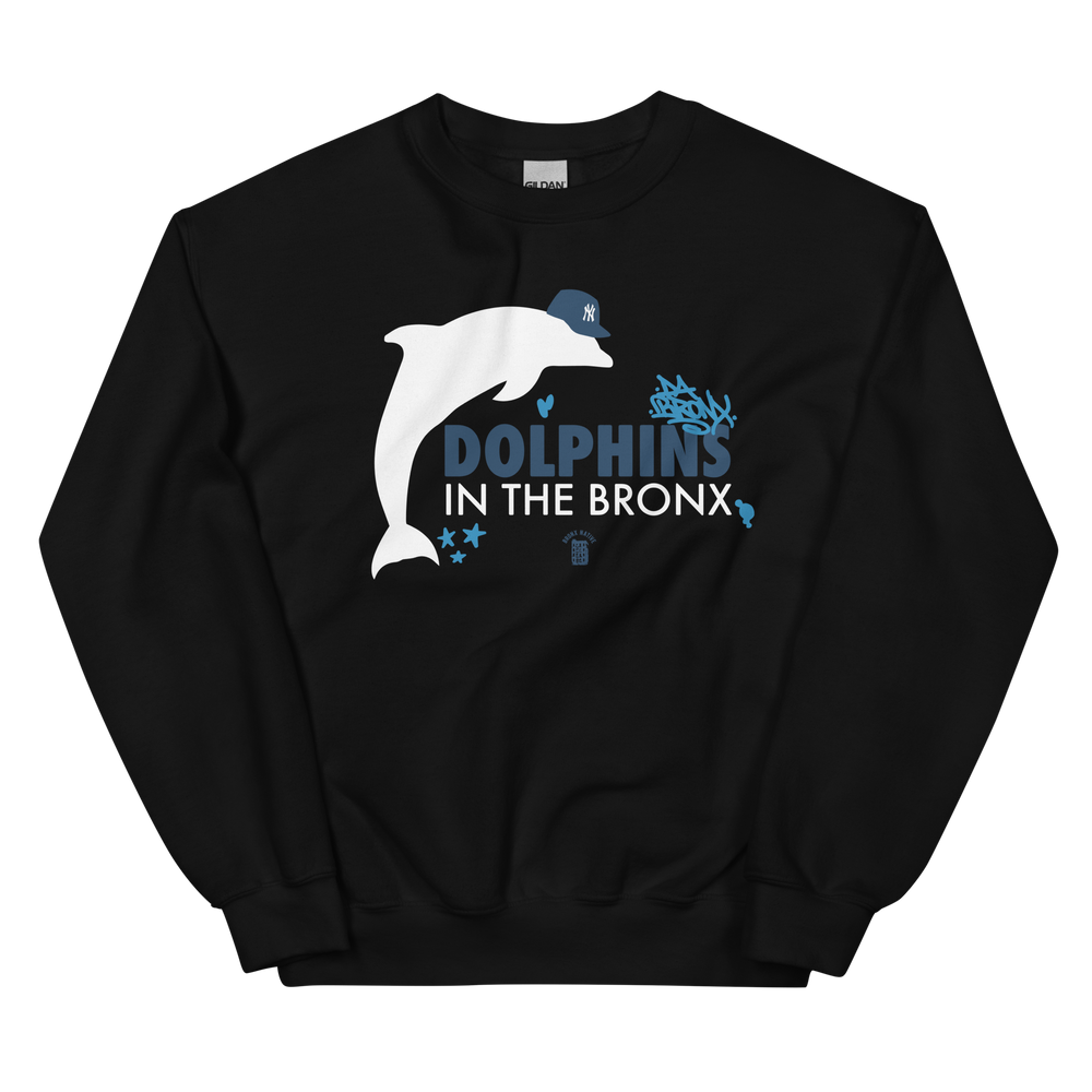Dolphins in The Bronx