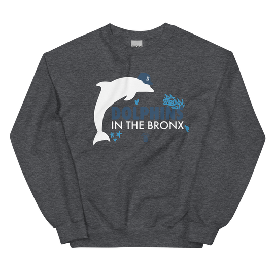 Dolphins in The Bronx