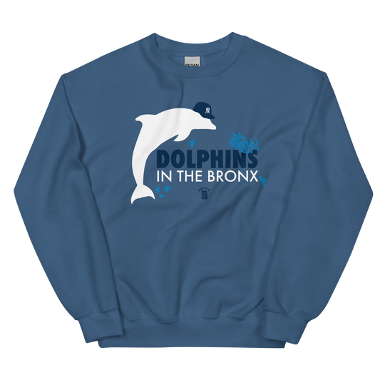 Dolphins in The Bronx