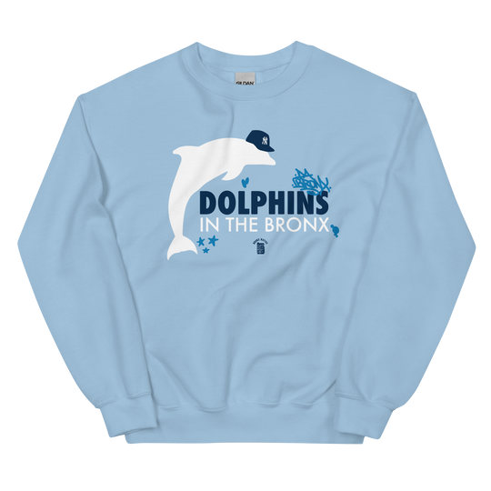 Dolphins in The Bronx