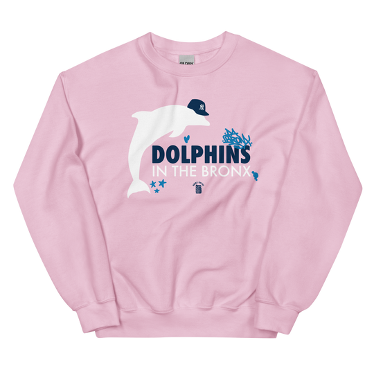 Dolphins in The Bronx