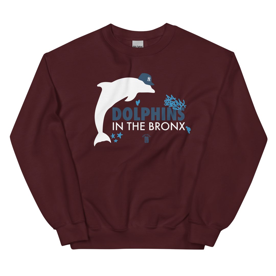 Dolphins in The Bronx