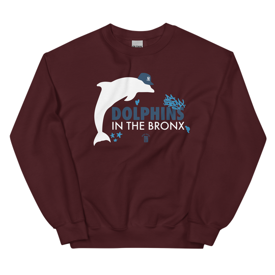 Dolphins in The Bronx