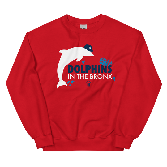 Dolphins in The Bronx